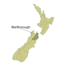marlborough (2)