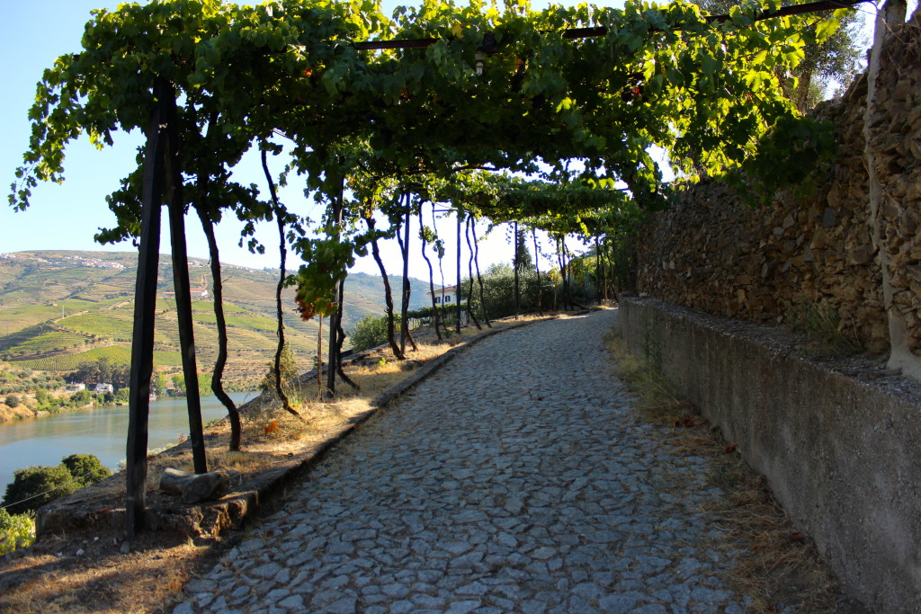 Douro Valley, Portugal | Wander & Wine