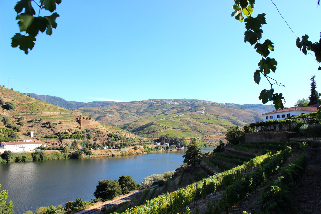 Douro Valley, Portugal | Wander & Wine