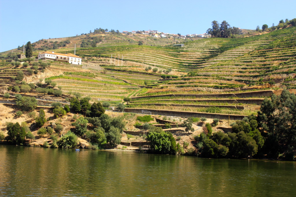 Douro Valley, Portugal | Wander & Wine