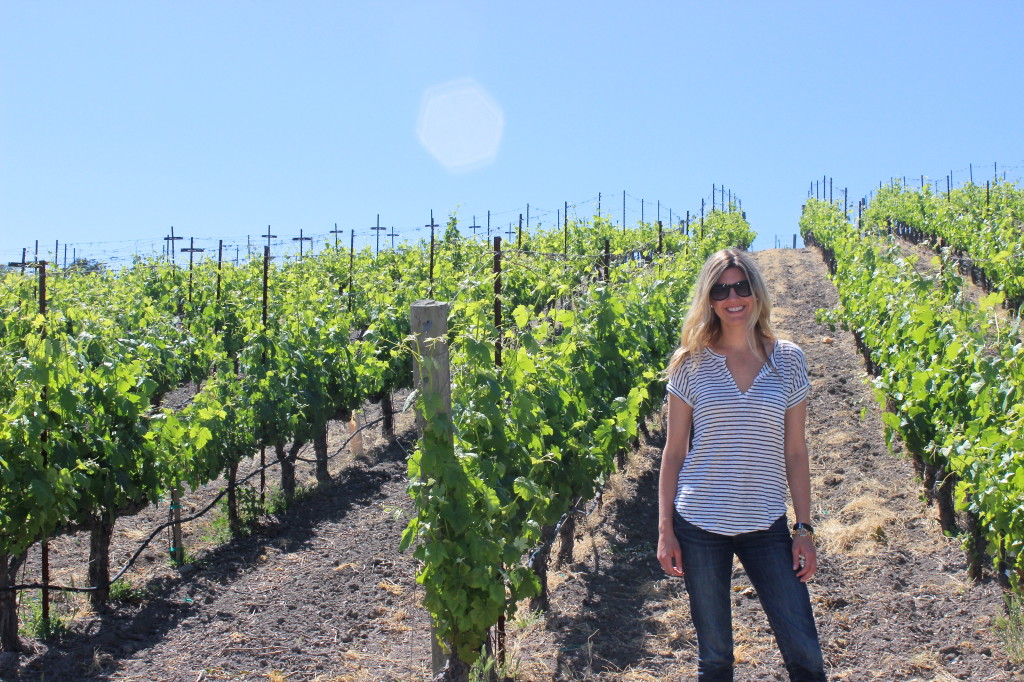 Paso Robles Vines | Wander & Wine