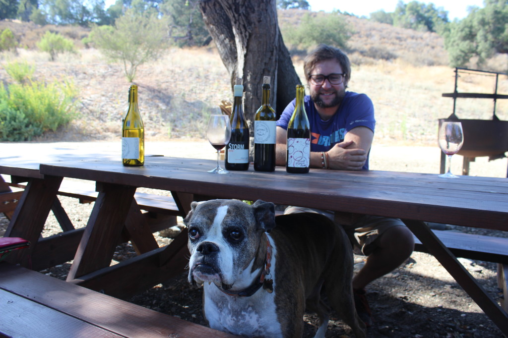 Winery dog - Storm Wines | Wander & Wine