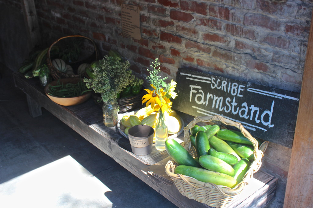 Scribe Winery Farmstand - help yourself | Wander & Wine