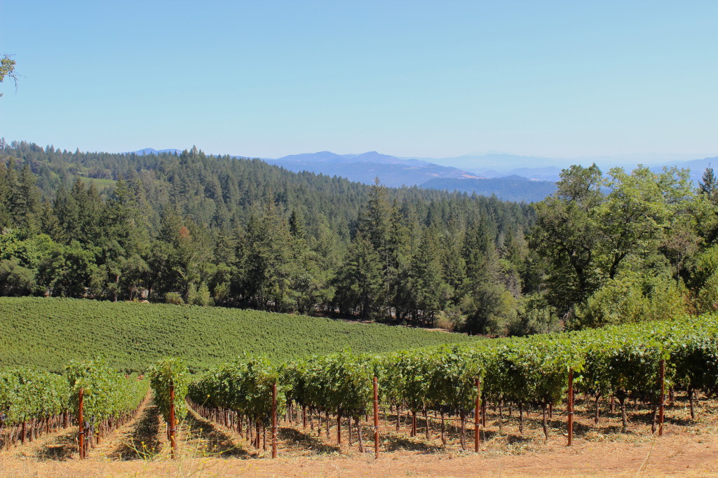 Views from CADE winery on Howell Mountain | Wander & Wine