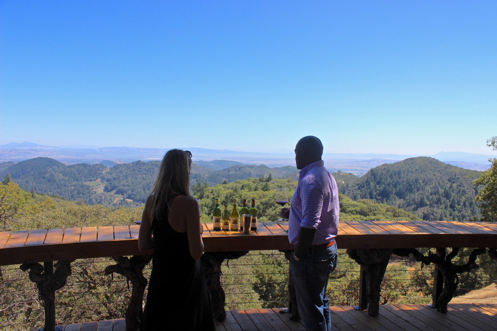 Learning about Mayacamas Winery | Wander & Wine