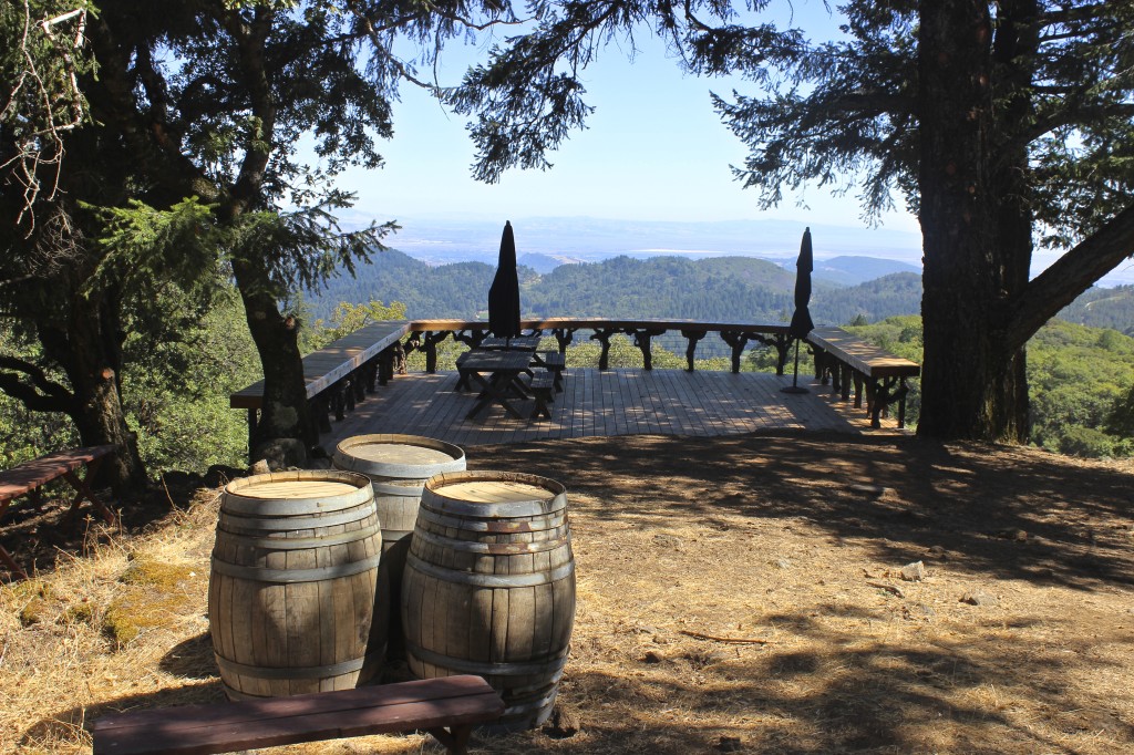 Mayacamas' Tasting Room, Napa Valley | Wander & Wine