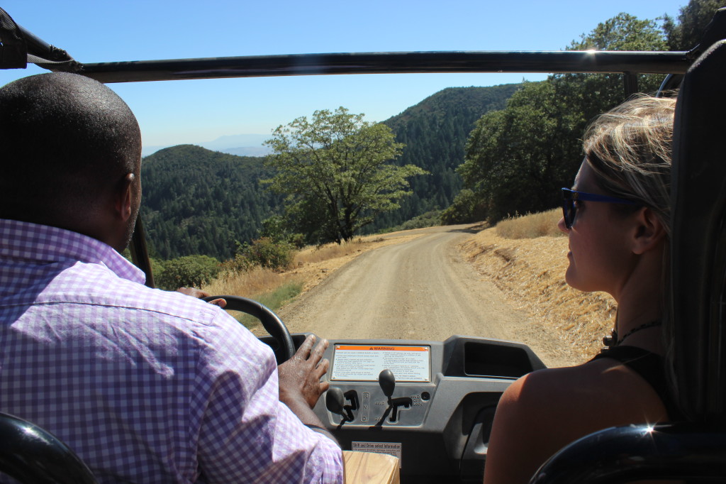 Cruising around Mayacamas Winery | Wander & Wine