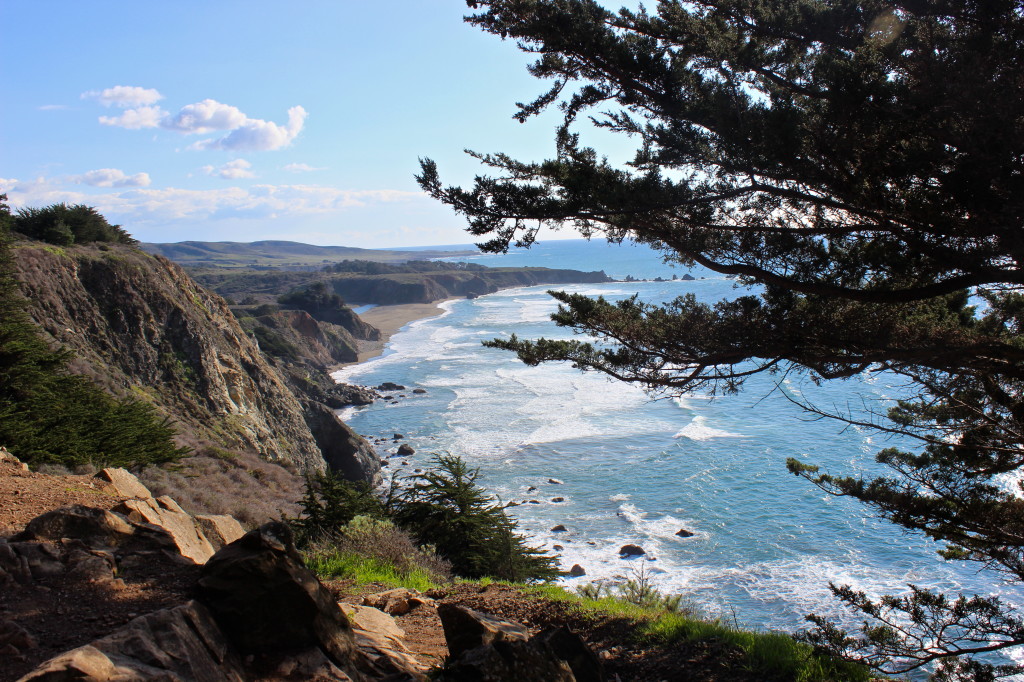 Big Sur | Wander & Wine