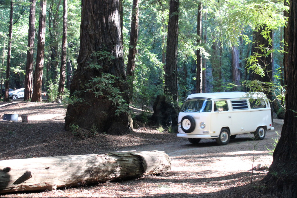 Big Sur | Wander & Wine