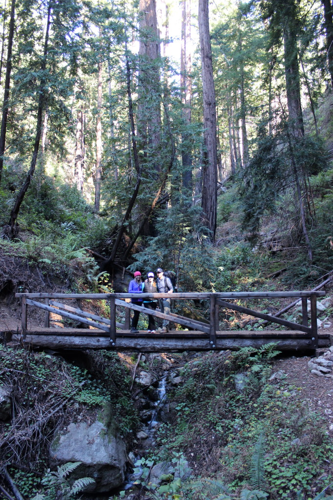 Hiking in Big Sur | Wander & Wine