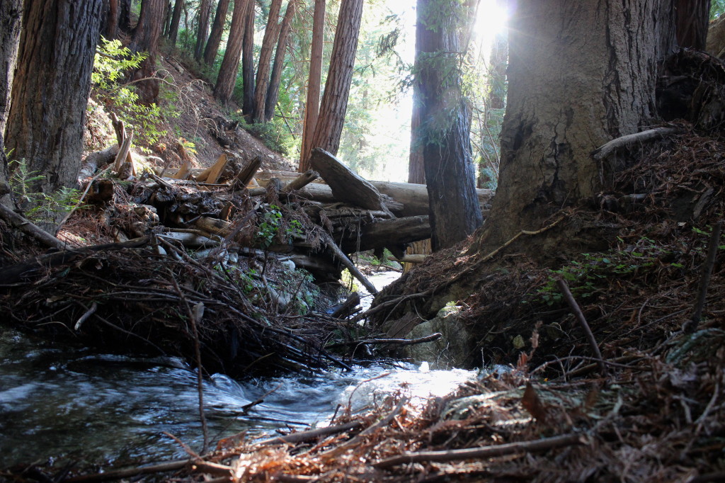 Big Sur | Wander & Wine