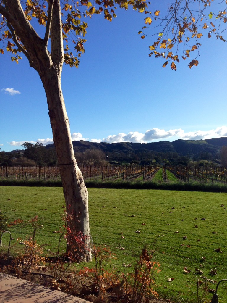 Guide to the AVAs of Santa Barbara's Wine Country | Wander & Wine