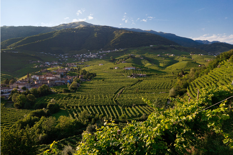 Sorelle Bronca vineyards, Italy | Wander & Wine 