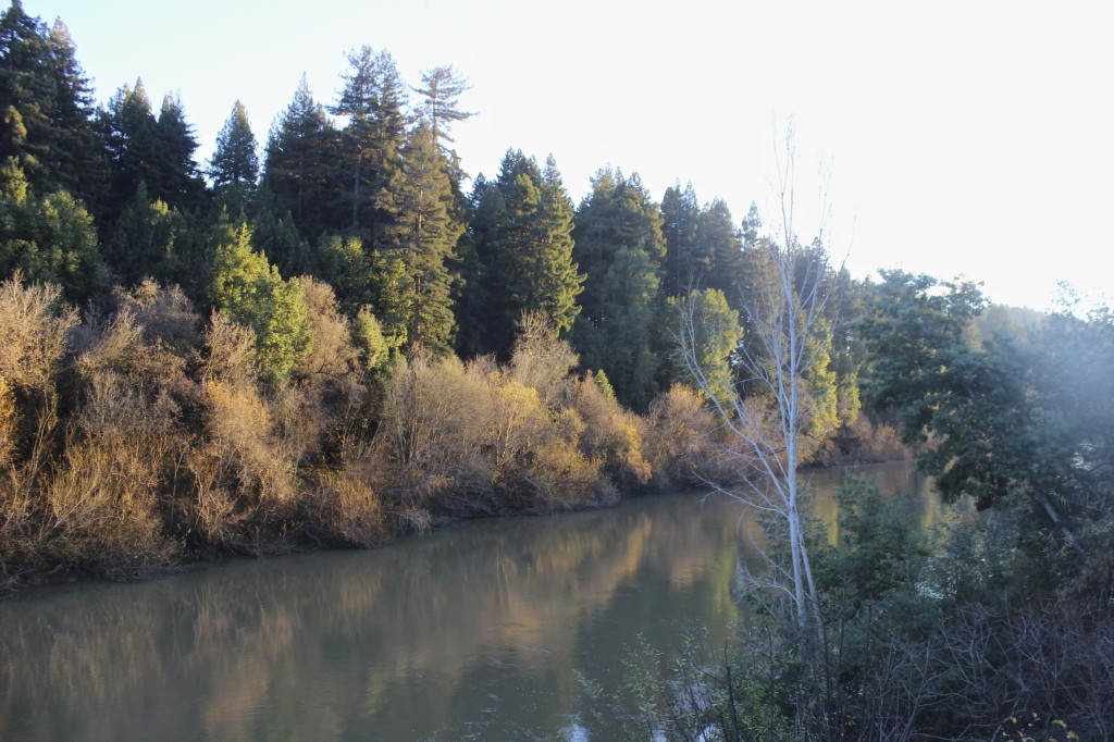 What to Do in Guerneville, CA | Russian River | Wander & Wine
