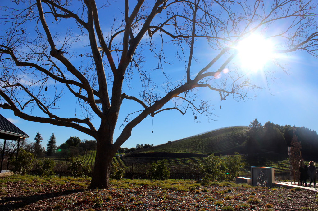 MacRostie Winery - Healdsburg, CA | Wander & Wine