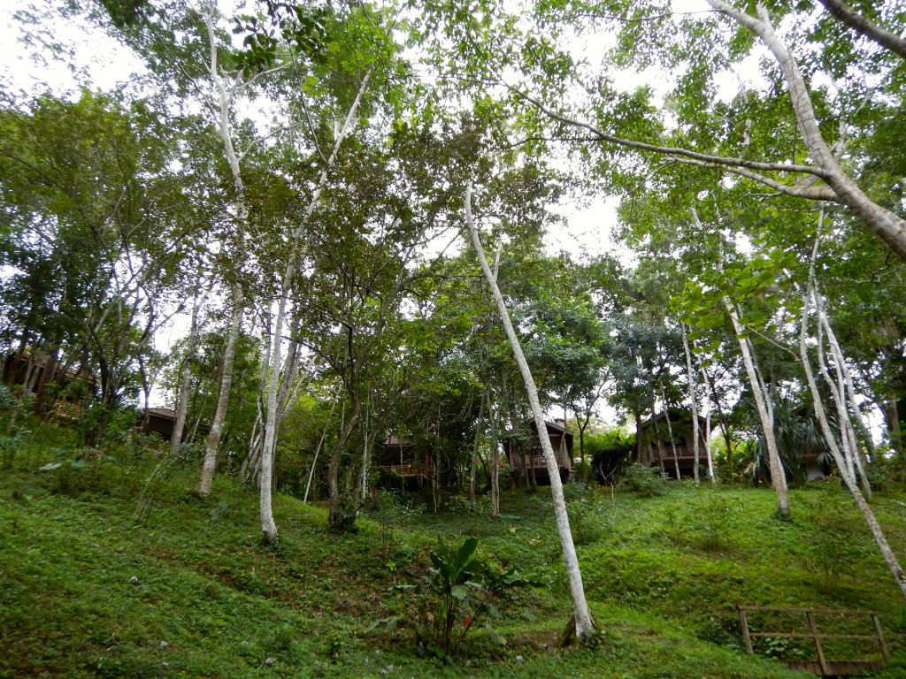 Mystic River Resort, Belize | Wander & Wine