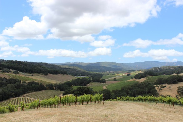 Halter Ranch Winery, Paso Robles | Wander & Wine