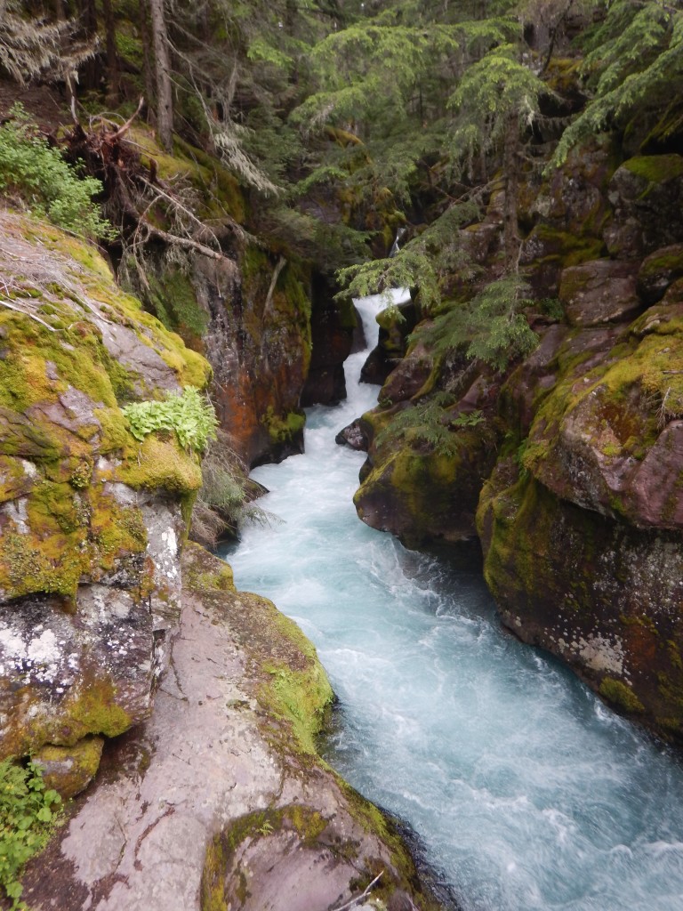 Snapshots of Glacier National Park, Montana | Wander & Wine