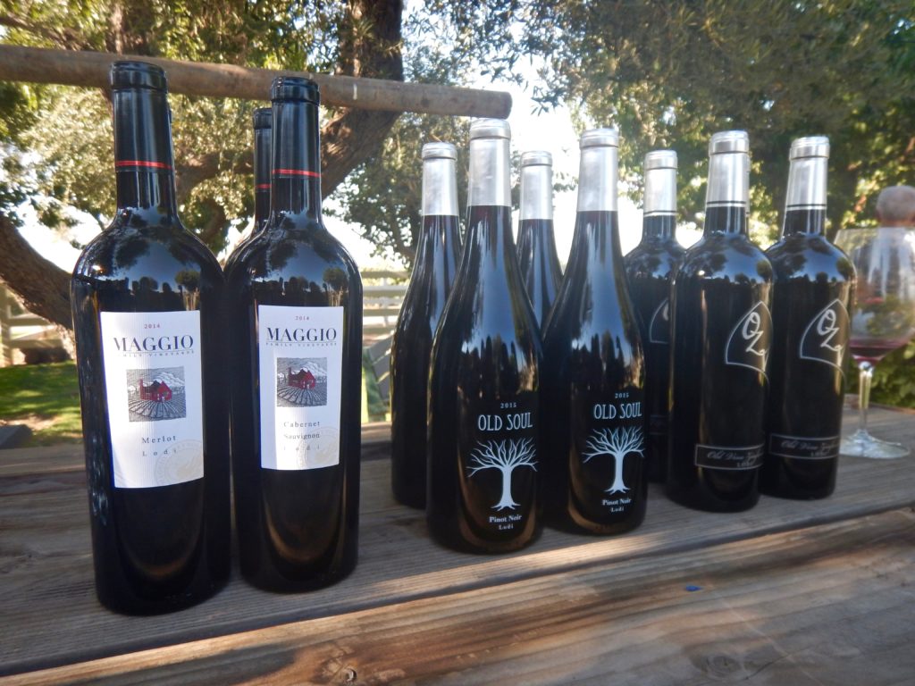 Oak Ridge Winery Vineyard Tour & Wine Pairing Dinner, Lodi | Wander & Wine