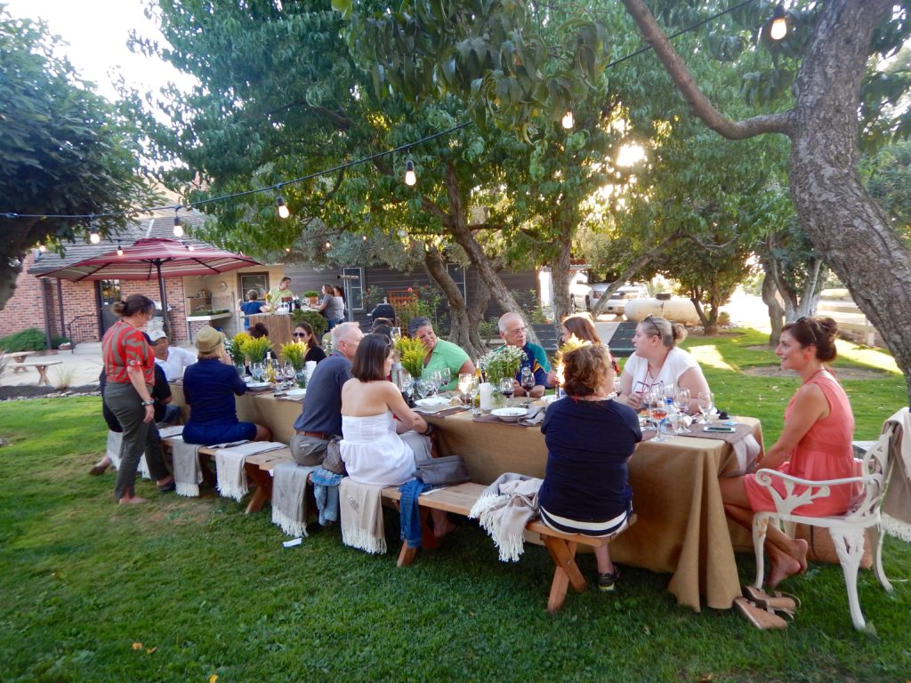 Oak Ridge Winery Vineyard Tour & Wine Pairing Dinner, Lodi | Wander & Wine