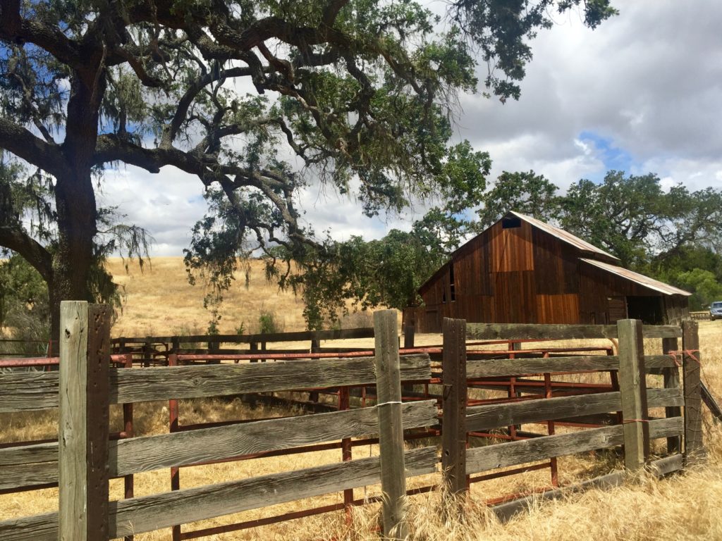 Gainey Vineyards Jeep Tour & Barn Tasting, Santa Ynez | Wander & Wine