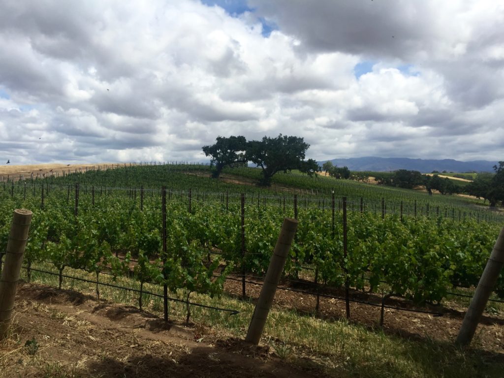Gainey Vineyards Jeep Tour & Barn Tasting, Santa Ynez | Wander & Wine