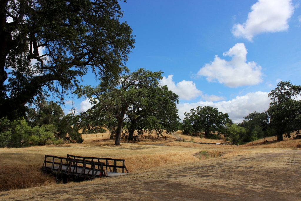 Gainey Vineyard Jeep Tour & Barn Tasting, Santa Ynez | Wander & Wine