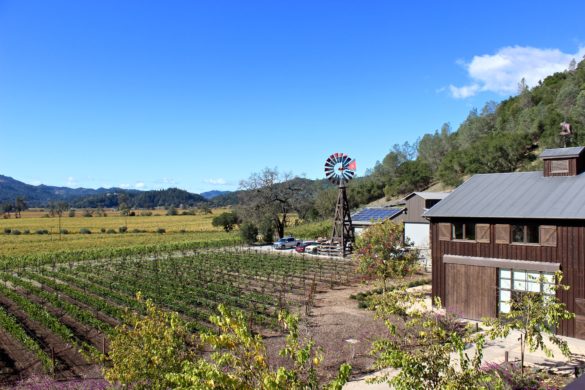 Davis Estates, Calistoga | Wander & Wine