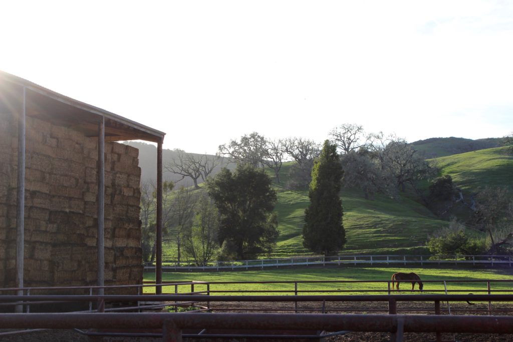 The Alisal Ranch, Santa Ynez Valley | Wander & Wine