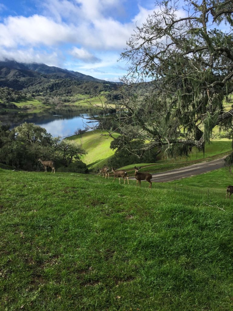 The Alisal Ranch, Santa Ynez Valley | Wander & Wine