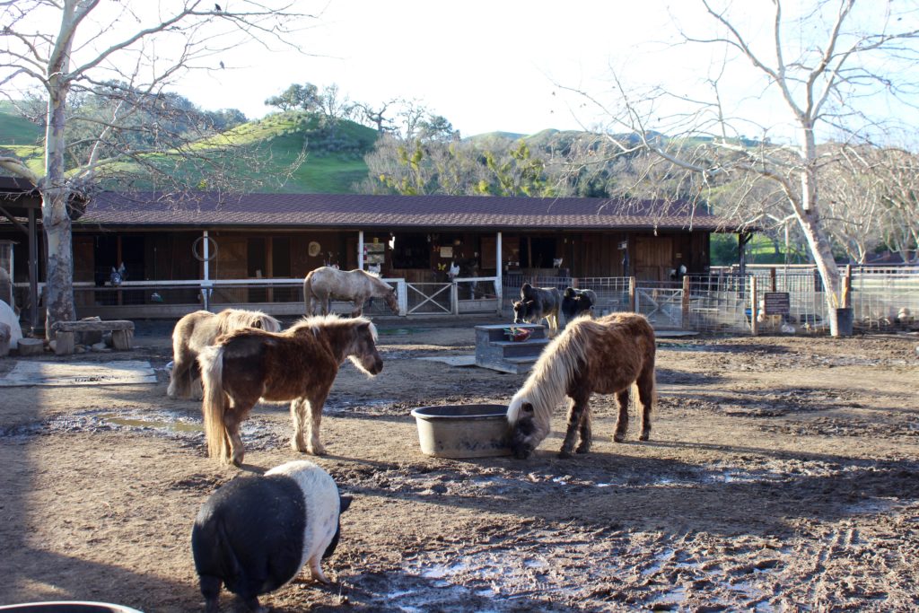 The Alisal Ranch, Santa Ynez Valley | Wander & Wine