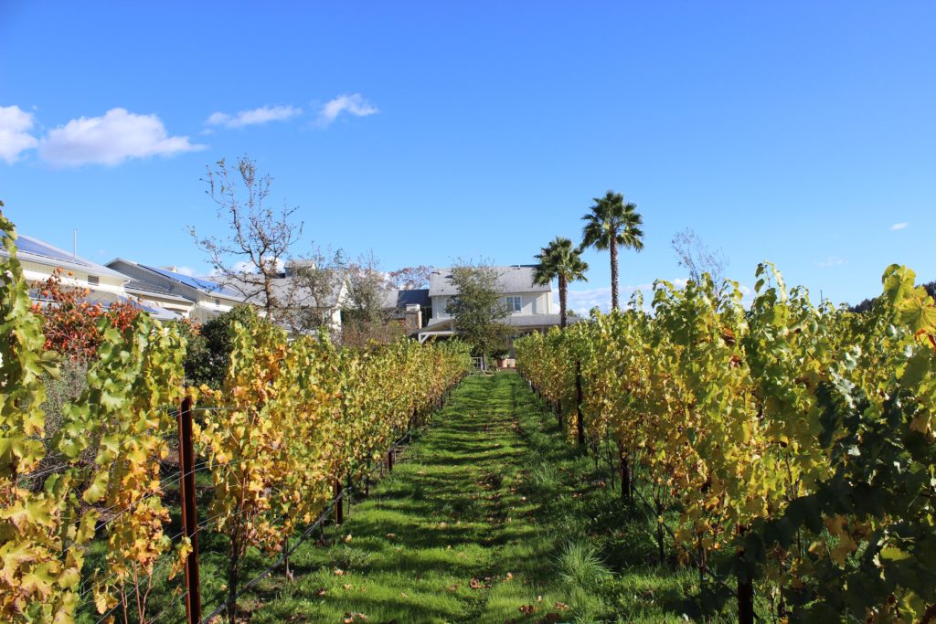 Larkmead Vineyards, Calistoga | Wander & Wine