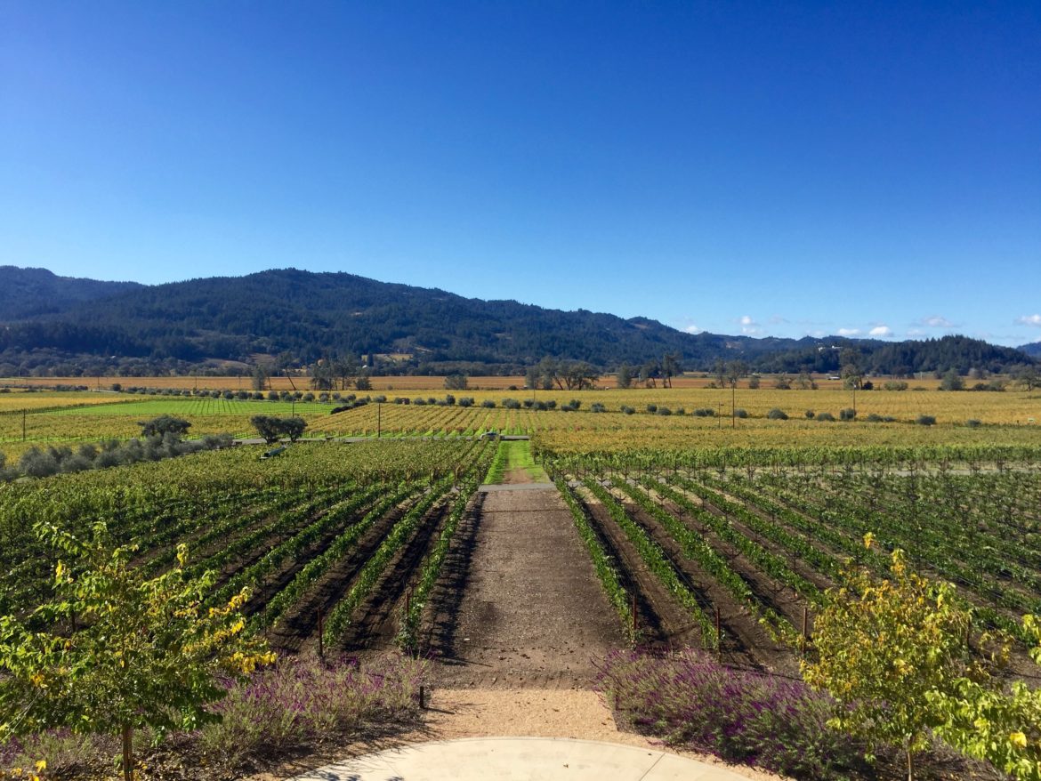 Where to Eat, Drink & Stay in Calistoga | Wander & Wine