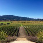 Where to Eat, Drink & Stay in Calistoga | Wander & Wine