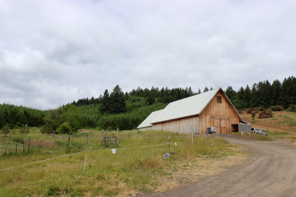 Big Table Farm, Willamette Valley, Oregon | Wander & Wine