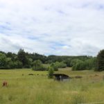 Big Table Farm, Willamette Valley, Oregon | Wander & Wine