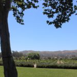 Melville Winery, Sta. Rita Hills - Santa Barbara | Wander & Wine