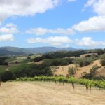 The Ultimate Guide to Paso Robles Wineries | Wander & Wine